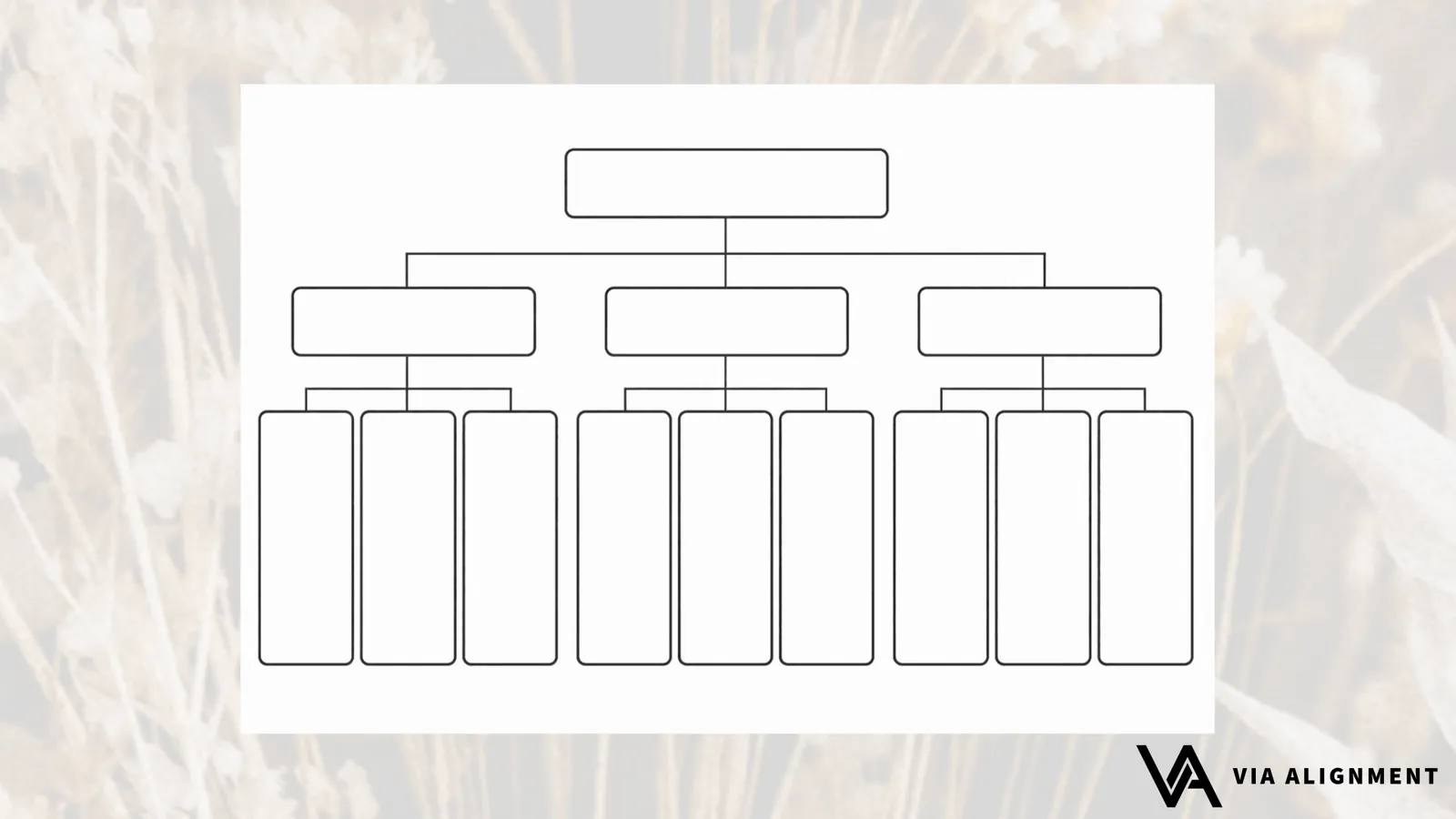 An empty three-tier diagram with one box branching into three main boxes, each branching into three smaller boxes below, ready to be filled in.