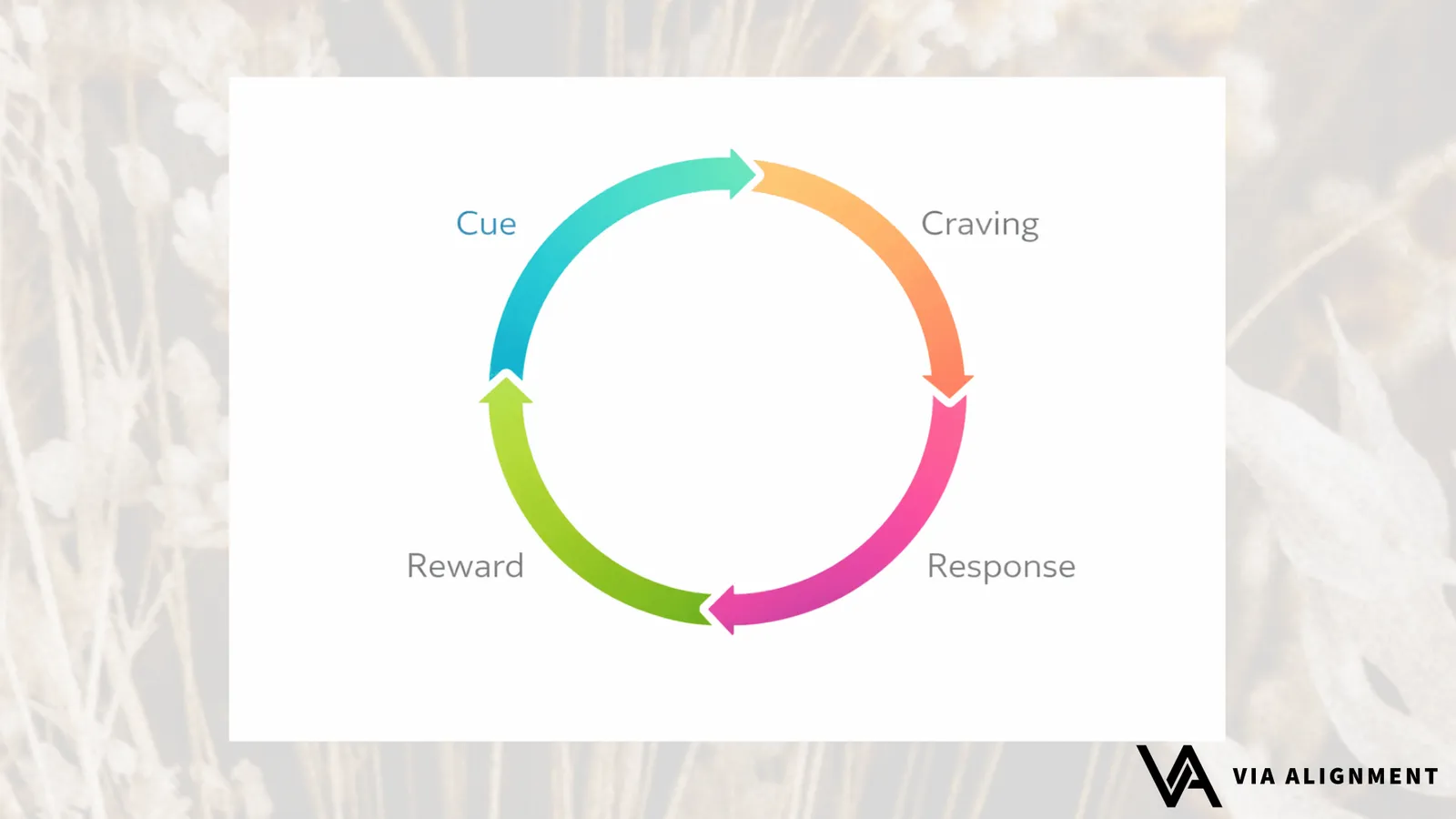 A circular diagram with four colored arrows labeled Cue, Craving, Response, and Reward looping back into each other.
