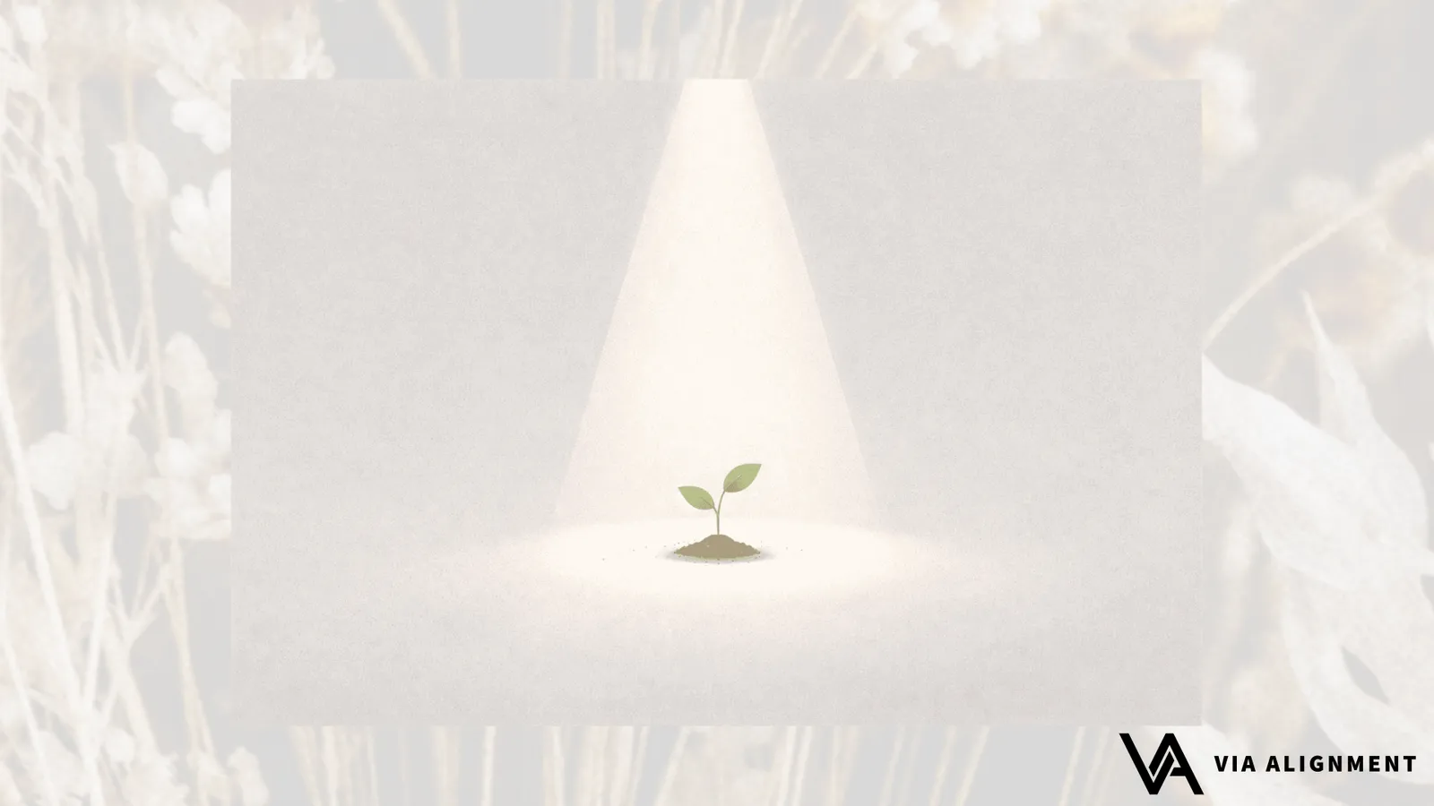 A single small green seedling grows from a mound of soil, lit by a narrow spotlight in an otherwise empty grey space.